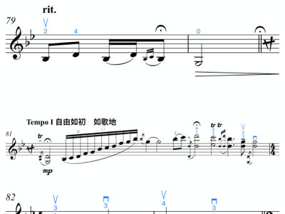 愉快的小牧民 - 散板