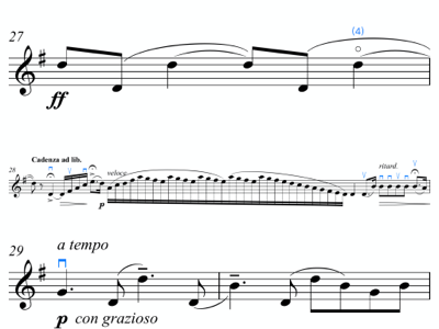 第二学生协奏曲-华彩乐章